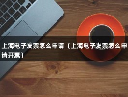 上海电子发票怎么申请（上海电子发票怎么申请开票）
